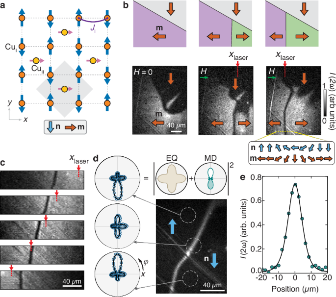 High-speed antiferromagnetic domain walls driven by coherent spin waves