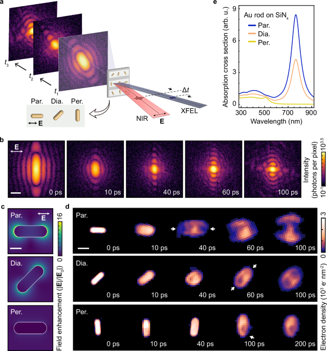 Surface-plasmon control of ultrafast energy-relaxation modes in photoexcited Au nanorods probed by time-resolved single-particle X-ray imaging