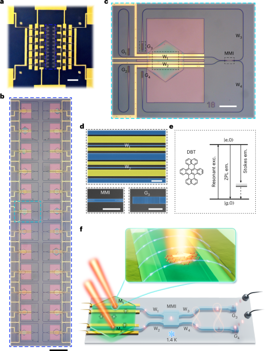 On-chip quantum interference of indistinguishable single photons from integrated independent molecules