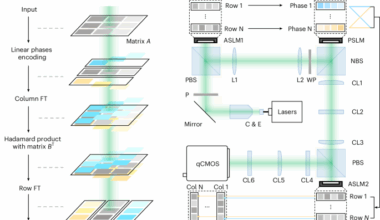 Direct tensor processing with coherent light