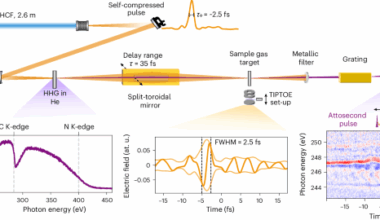 Self-compressed waveform-stable light transients enabling water-window attosecond spectroscopy