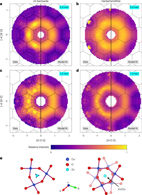 Identifying universal spin excitations in candidate spin-1/2 kagome quantum spin liquid materials