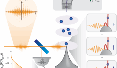 Quantum light drives electrons strongly at metal needle tips