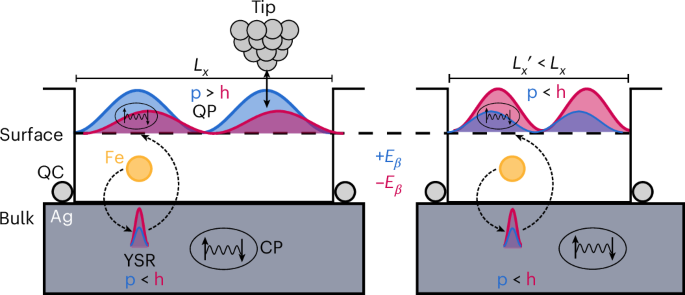 Non-local detection of coherent Yu–Shiba–Rusinov quantum projections