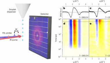 Observation of a dynamic transition in bulk supercooled water