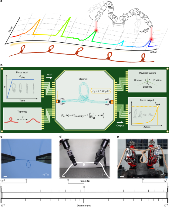 Slipknot-gauged mechanical transmission and robotic operation
