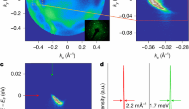 Topological nodal i-wave superconductivity in PtBi2