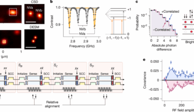 Multi-qubit nanoscale sensing with entanglement as a resource