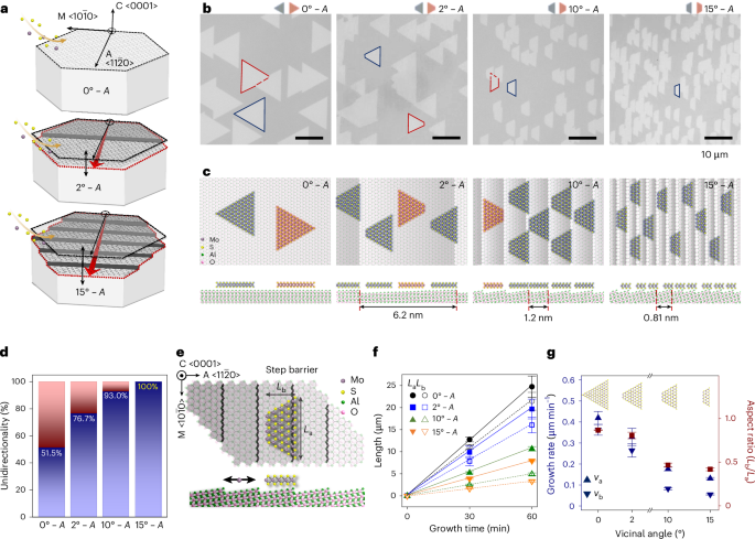 Single-crystalline monolayer semiconductors with coherent quantum transport by vicinal van der Waals epitaxy