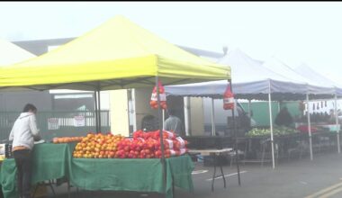 Some San Diego farmers markets accept EBT cards for food – NBC 7 San Diego