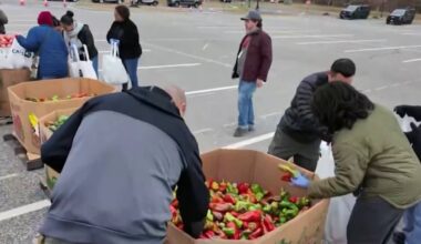 Emergency food giveaway in South Jersey helps feed 500 families – NBC10 Philadelphia