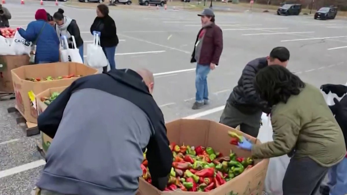 Emergency food giveaway in South Jersey helps feed 500 families – NBC10 Philadelphia