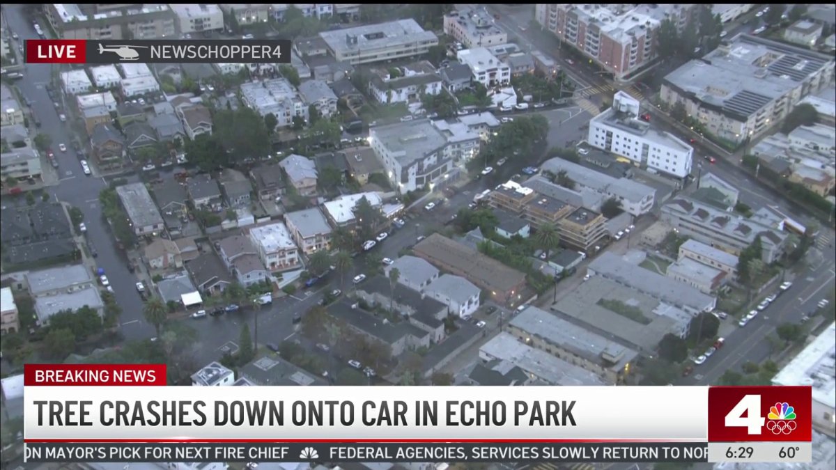 Tree falls onto pickup in Echo Park – NBC Los Angeles