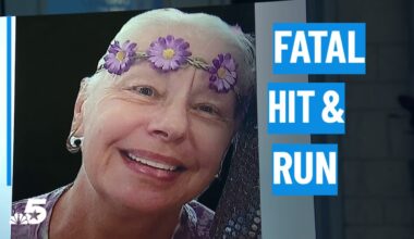 North Texas woman killed while walking dog; driver still not found – NBC 5 Dallas-Fort Worth