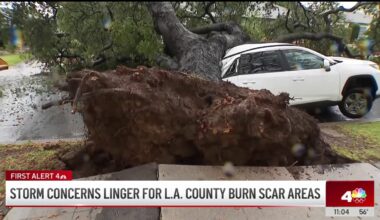Downed trees, sinkholes and flooding. Rainstorm leaves its mark on LA County – NBC Los Angeles