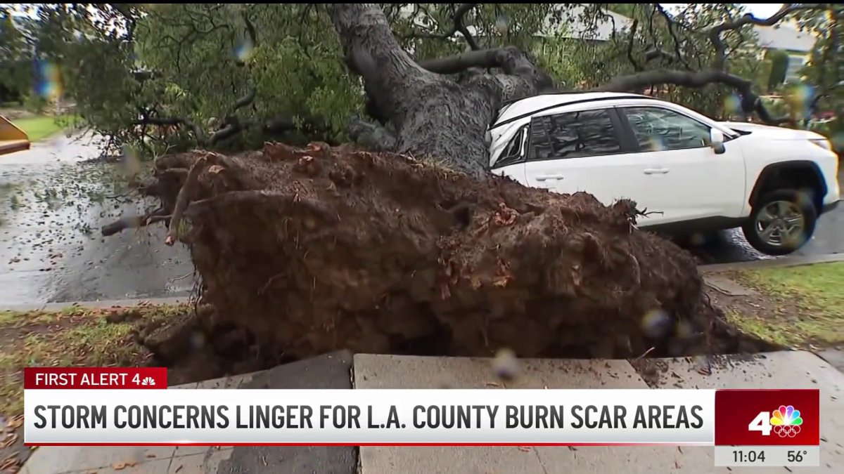Downed trees, sinkholes and flooding. Rainstorm leaves its mark on LA County – NBC Los Angeles