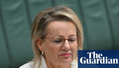 ‘They didn’t realise how pissed off we would be’: Sussan Ley risks losing MPs regardless of where net zero debate lands | Liberal party