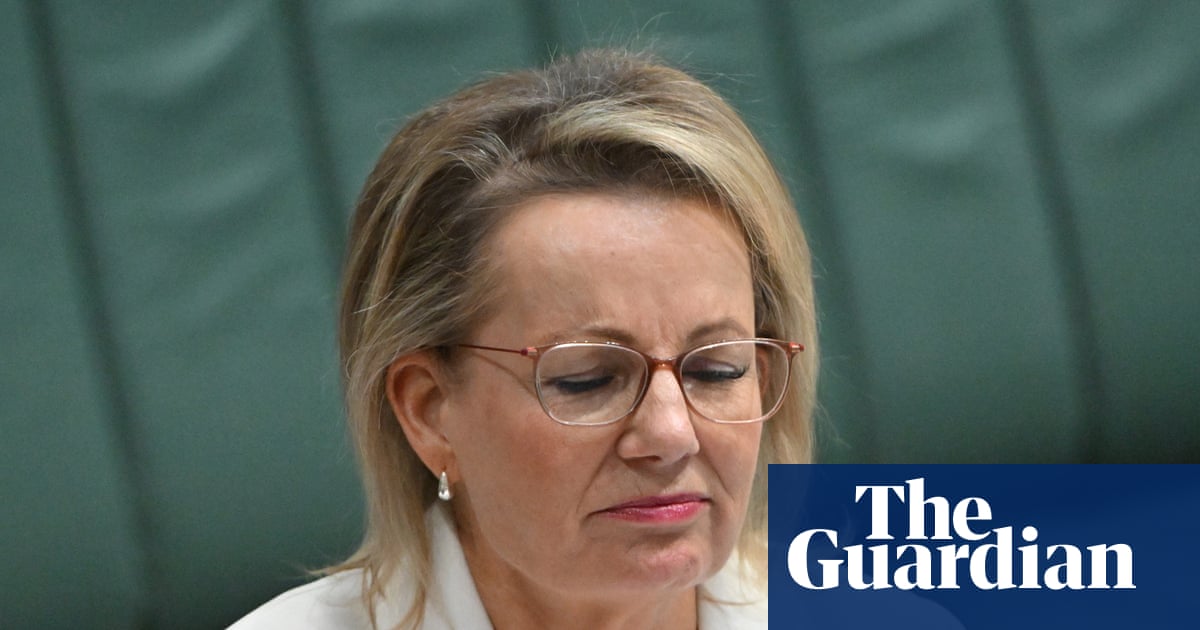 ‘They didn’t realise how pissed off we would be’: Sussan Ley risks losing MPs regardless of where net zero debate lands | Liberal party