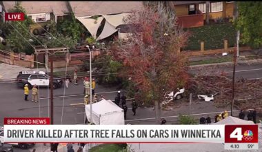 Tree crashes onto cars in Winnetka, killing a driver – NBC Los Angeles