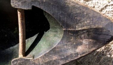 Archaeological breakthrough contradicts the timeline of human civilization - Science - News