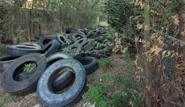 Is illegal dumping an issue for your neighborhood? Let us know
