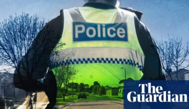 150 police visits in 20 months: Indigenous mother takes action after her boys subjected to ‘relentless’ checks | New South Wales