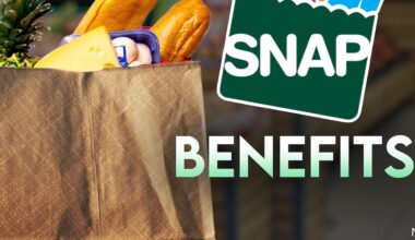 NYS Snap payment schedule