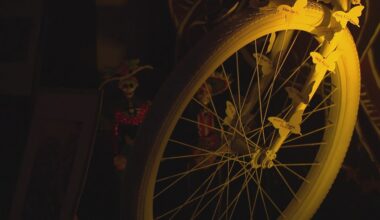 Houston exhibit honors cyclists killed on city roads with Día de los Muertos altars