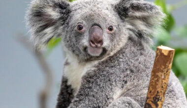 Yahoo lifestyle home