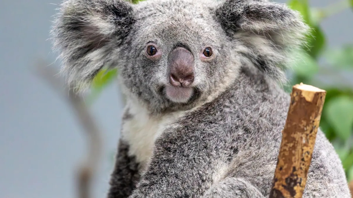 Yahoo lifestyle home