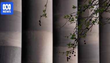 Abortion legislation voted down in South Australian Parliament