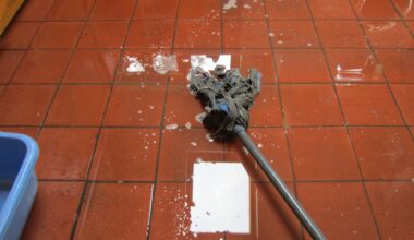 9 worst Phoenix restaurant inspections in October