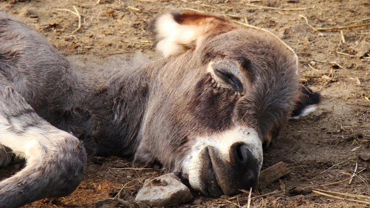 Yahoo lifestyle home