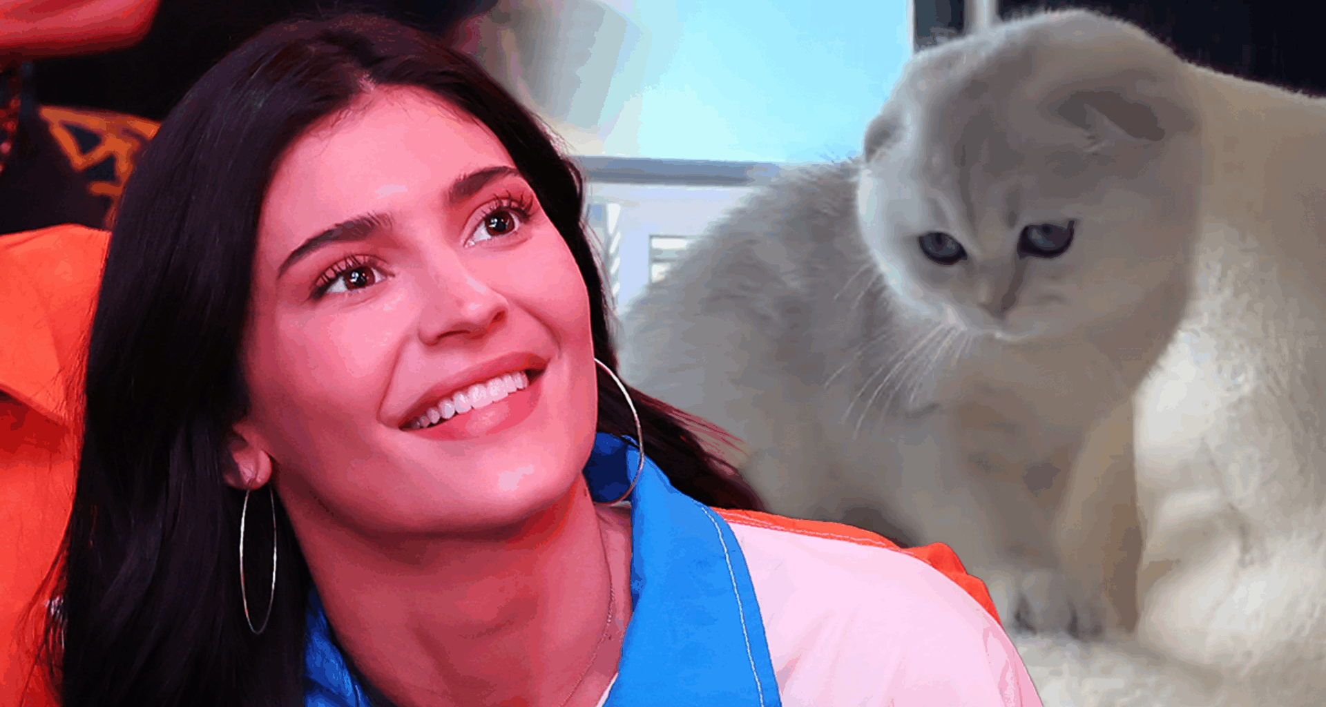 Kylie Jenner Shares Sports Bra Selfie, Photos of New Cat in Instagram Drop