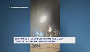 20 phones swiped from concertgoers at Brooklyn Paramount