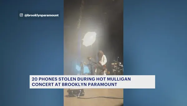 20 phones swiped from concertgoers at Brooklyn Paramount