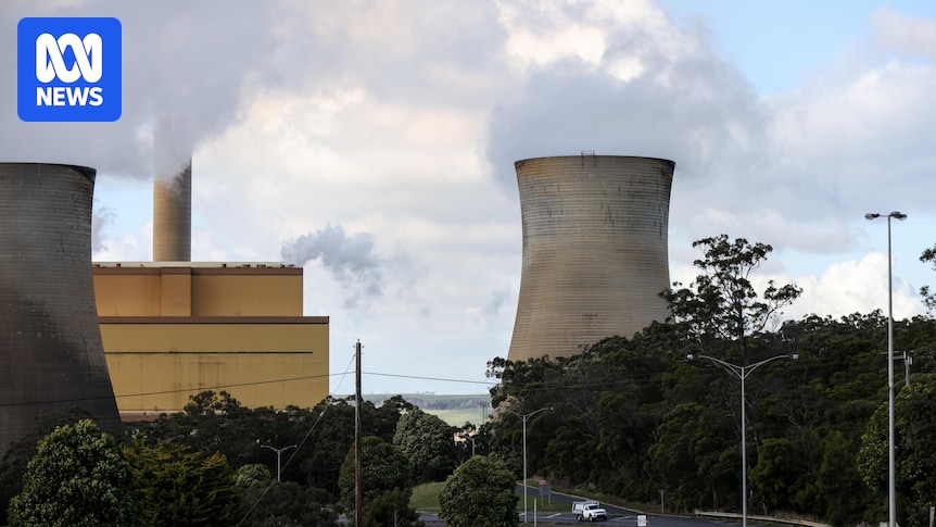 Energy chiefs say net zero 'irreversible' even though bills unlikely to fall 'for a decade'