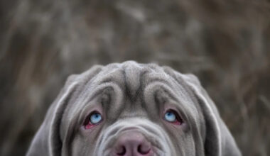 Yahoo lifestyle home