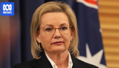 Sussan Ley's net zero problem won't only impact the Coalition