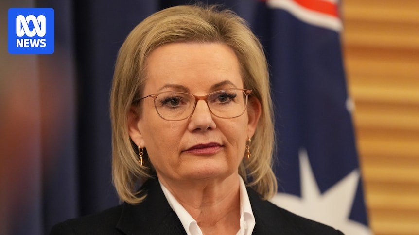 Sussan Ley's net zero problem won't only impact the Coalition