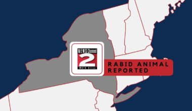 1 Person in Marcy Exposed to Rabid Raccoon | Local