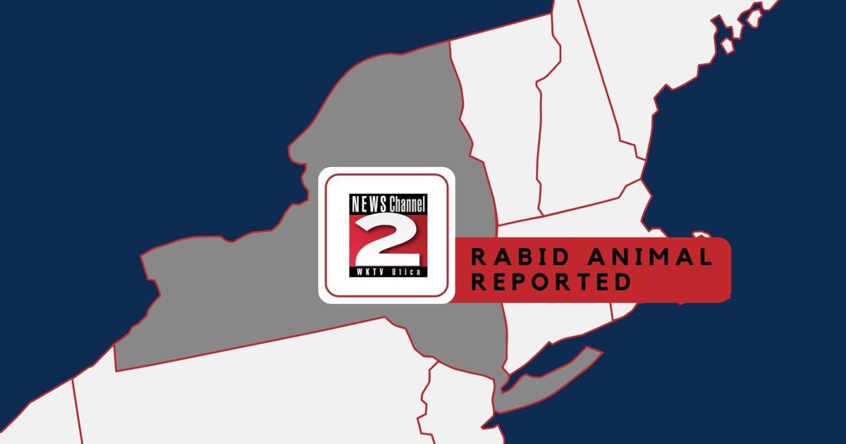 1 Person in Marcy Exposed to Rabid Raccoon | Local