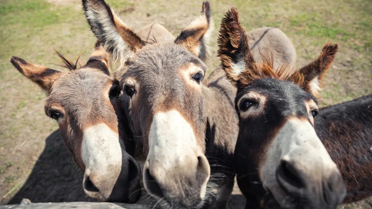 Yahoo lifestyle home