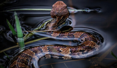 Yahoo lifestyle home