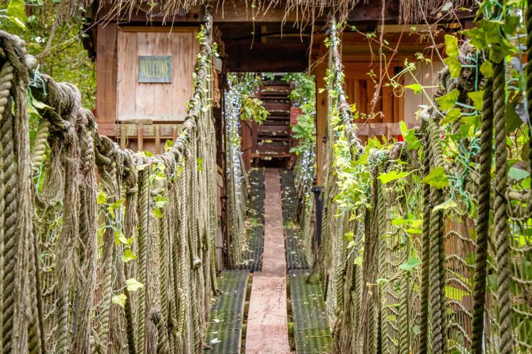 Gethsemane Counseling & Coaching Services