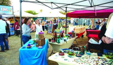 Light Up Ahwatukee holiday fest returning | News