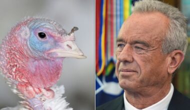 Bird Flu's Back And This Time Fewer People Are Keeping Tabs On It