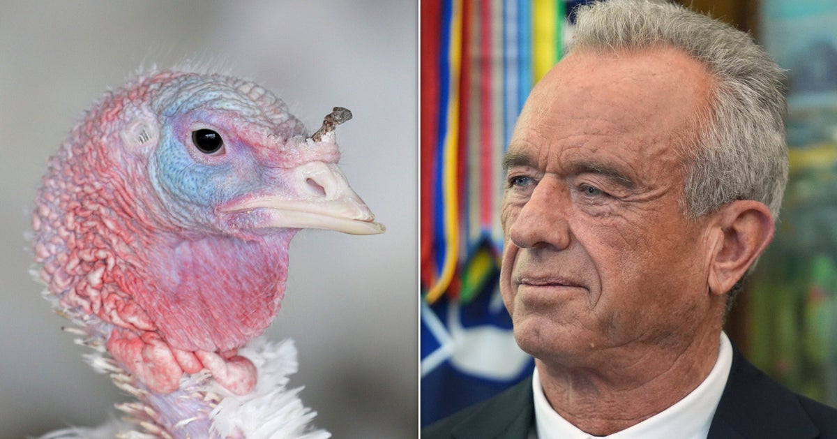 Bird Flu's Back And This Time Fewer People Are Keeping Tabs On It