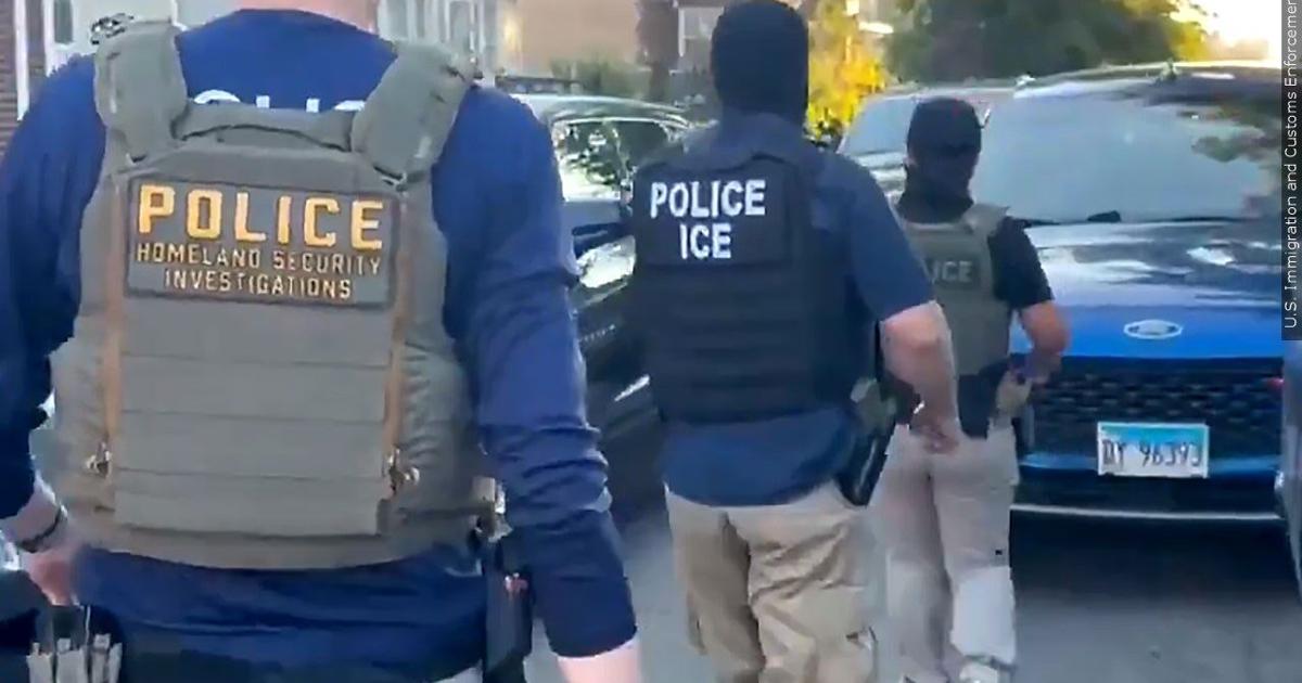 Suburban Chicago dad headed to store with toddler says they were pepper-sprayed by federal agents | Illinois