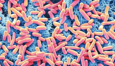 Officials investigating E. coli-related outbreak at Arizona State Fair | News